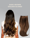 Dark Brown & Golden Blonde