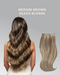 Medium Brown & Beach Blonde