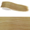 Honey Blonde Beach Blonde